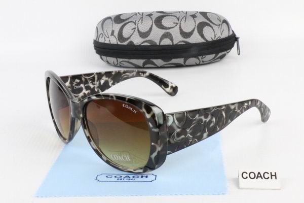 C0ACH Boutique Sunglasses 011